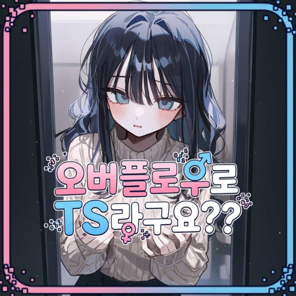 오버플로우로 TS라구요?? (SFW)