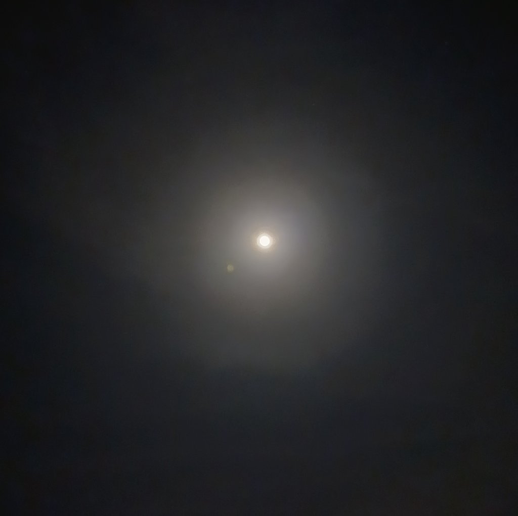 자유